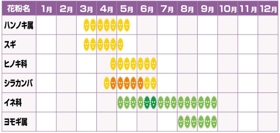 アレルギー性鼻炎